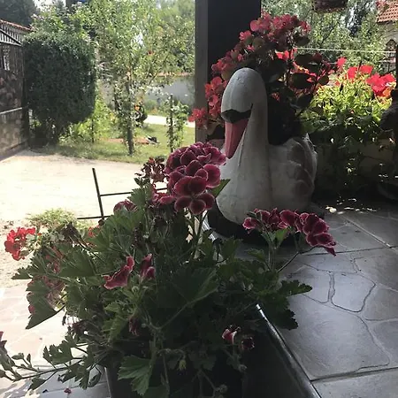 Apartmán Holiday Shery Misevici